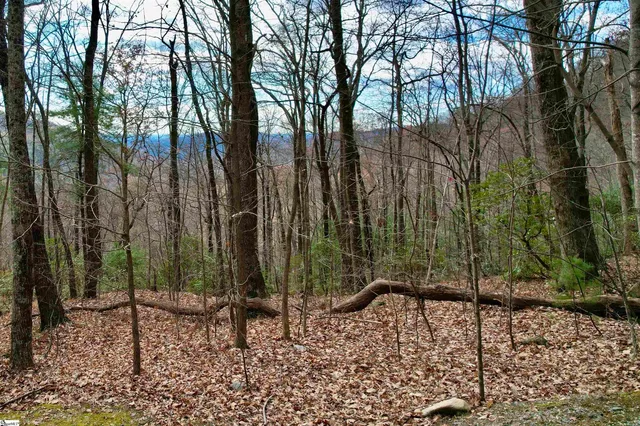 $100,000 | 1329 Panther Park Trail, Travelers Rest, SC 29690