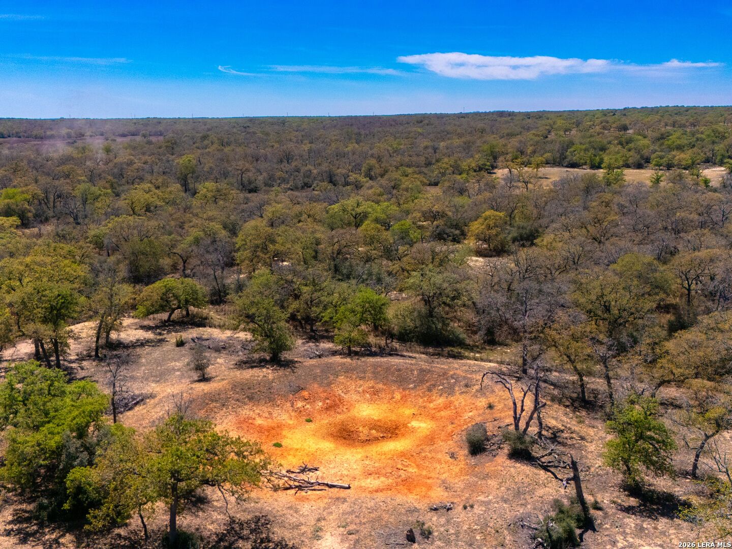 1211 Copperhead Road Seguin, TX 78155 - Photo 43 of 49