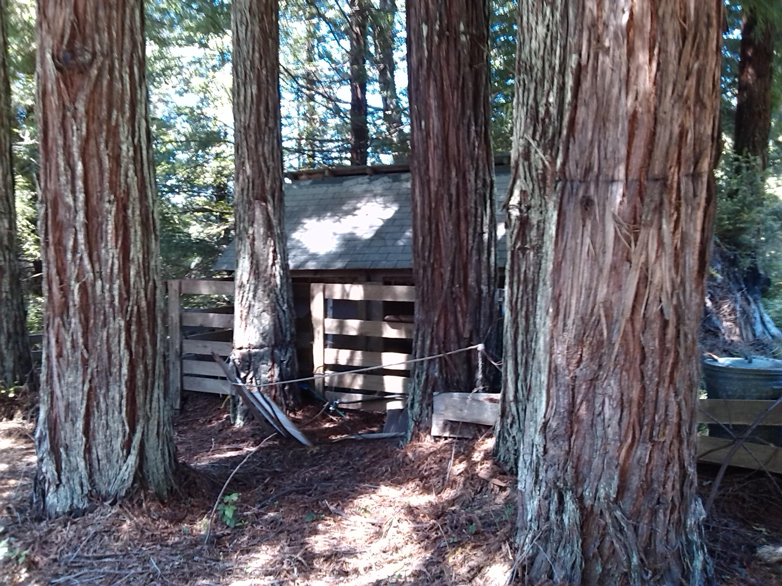 5451 Cummings Road Eureka, CA 95503 - Photo 8 of 9 Gallery Image 8