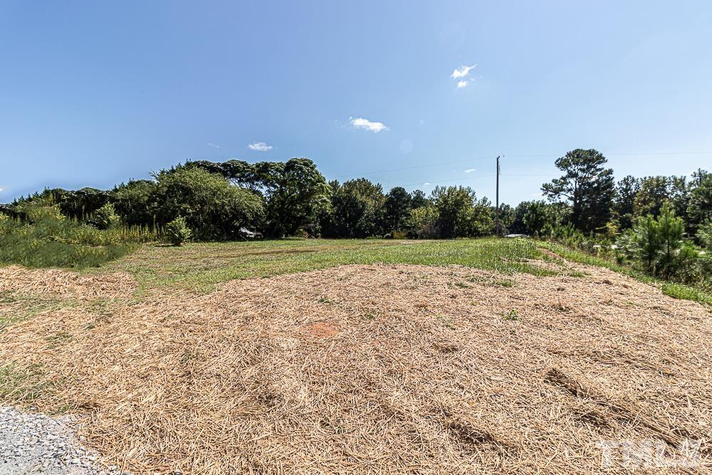 7252 Broad Leaf Dr Spring Spring Hope, NC 27882 - Photo 2 of 17 a view of a field with trees in the background