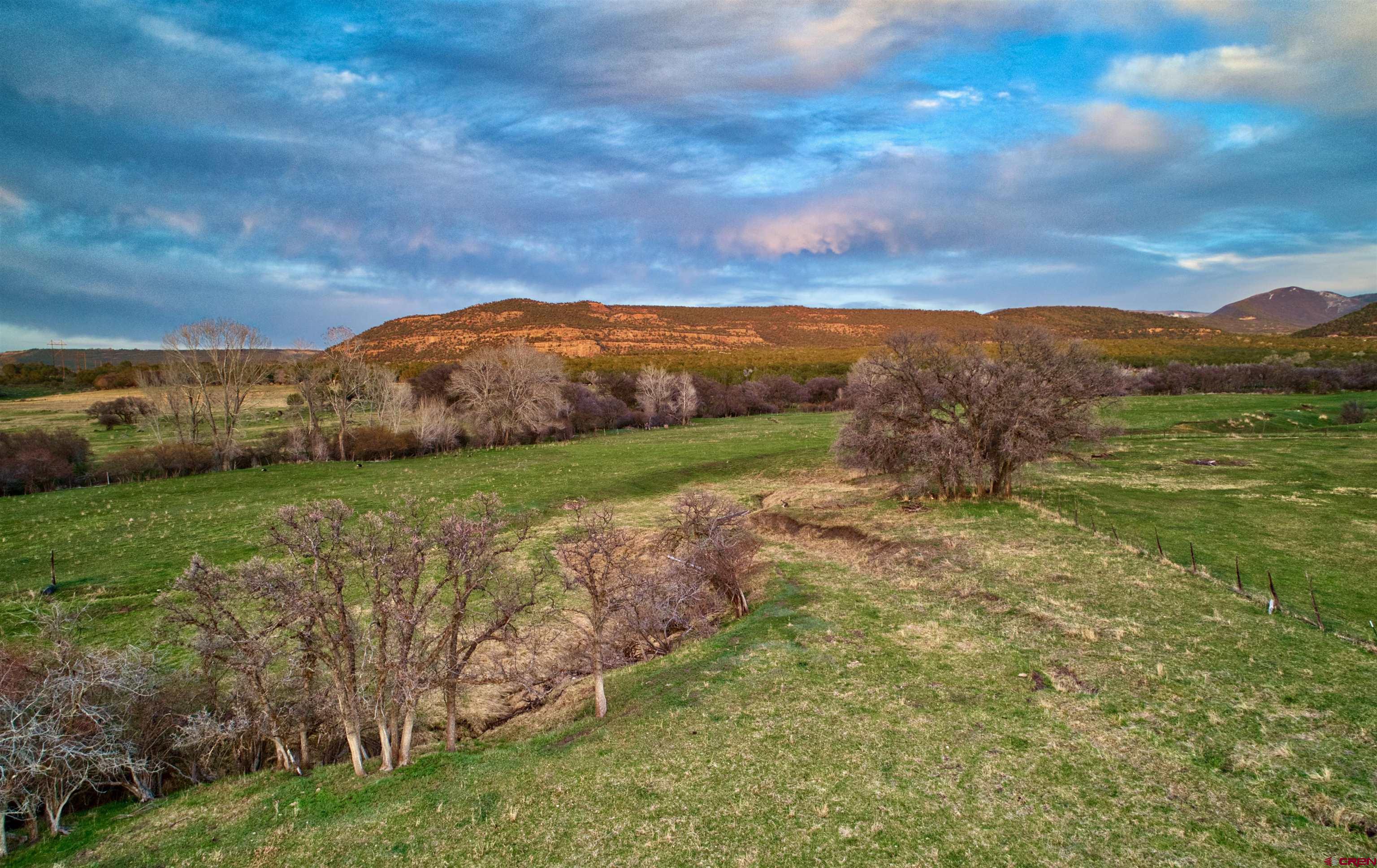 51804 KE Road Mesa, CO 81643 - Photo 17 of 29 a view of an outdoor space and mountain view