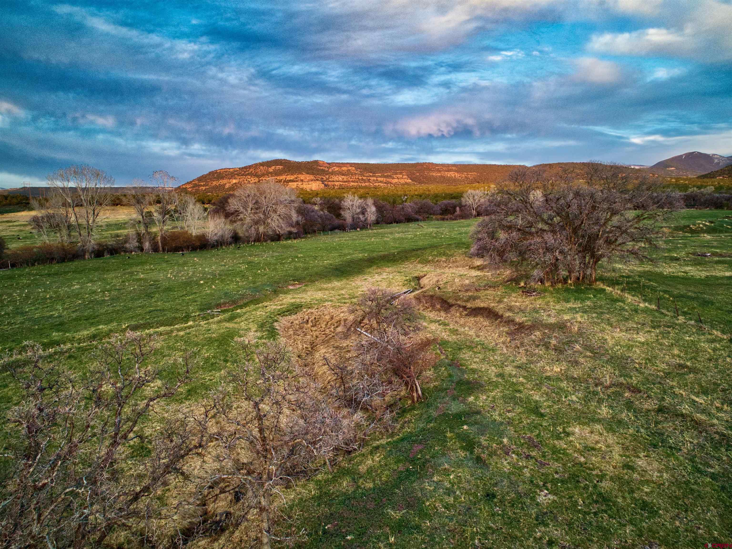 51804 KE Road Mesa, CO 81643 - Photo 18 of 29 a view of a field with an trees