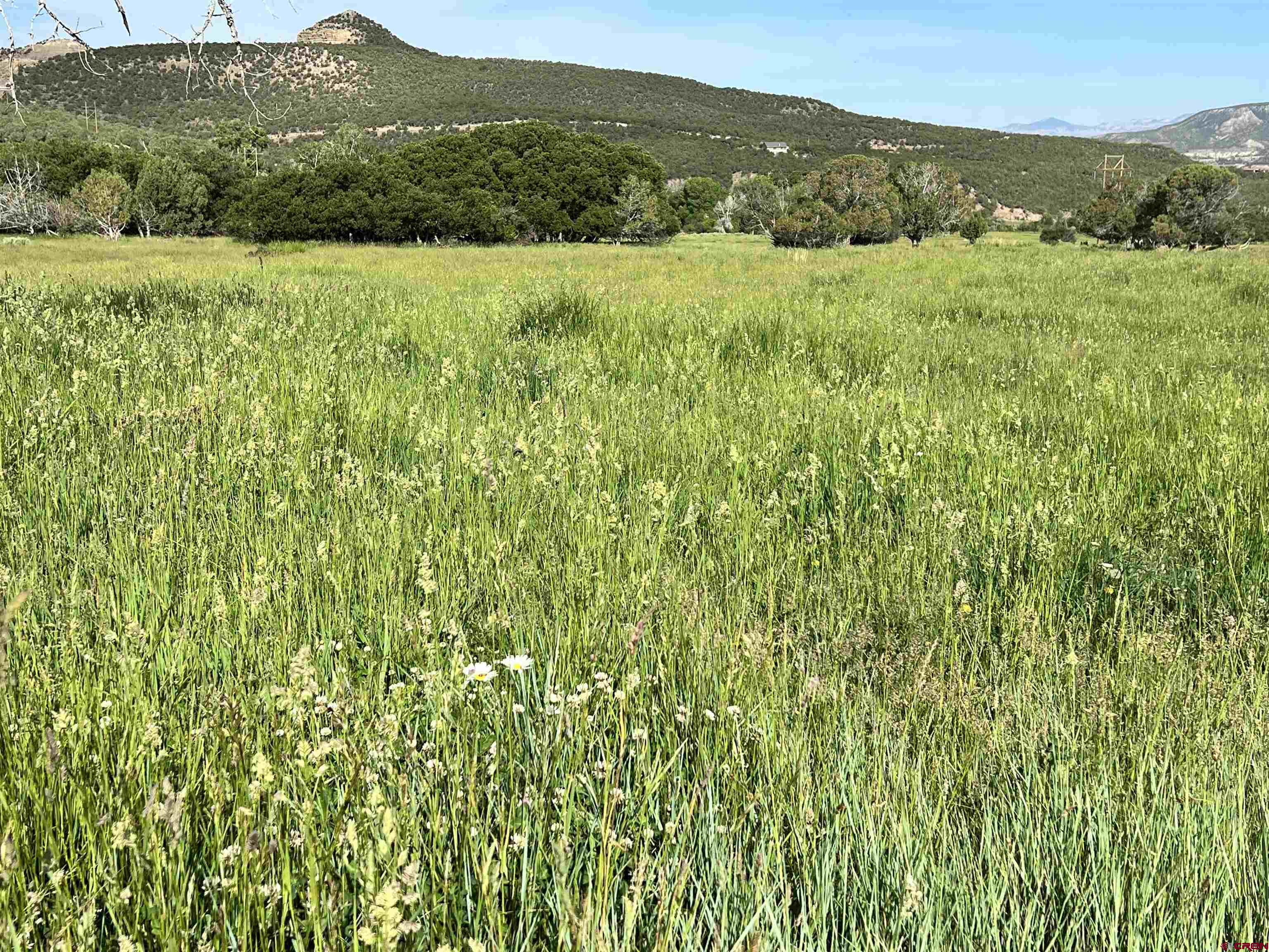 51804 KE Road Mesa, CO 81643 - Photo 23 of 29 a view of a lush green field with a mountain in the background