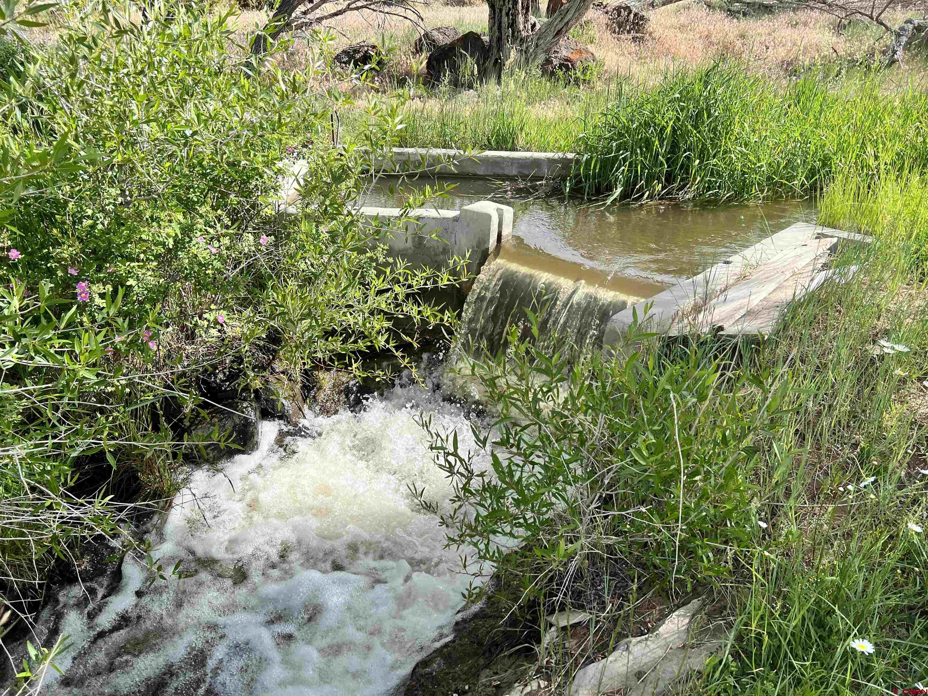 51804 KE Road Mesa, CO 81643 - Photo 24 of 29 a view of a lake with large trees
