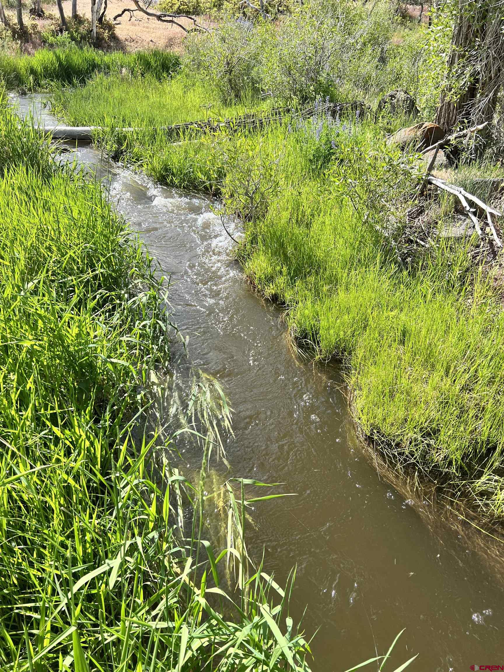 51804 KE Road Mesa, CO 81643 - Photo 25 of 29 a view of a lake with a yard