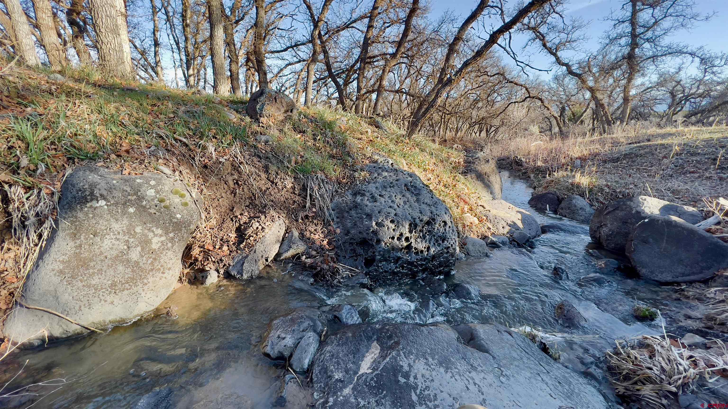 51804 KE Road Mesa, CO 81643 - Photo 26 of 29 a view of a yard