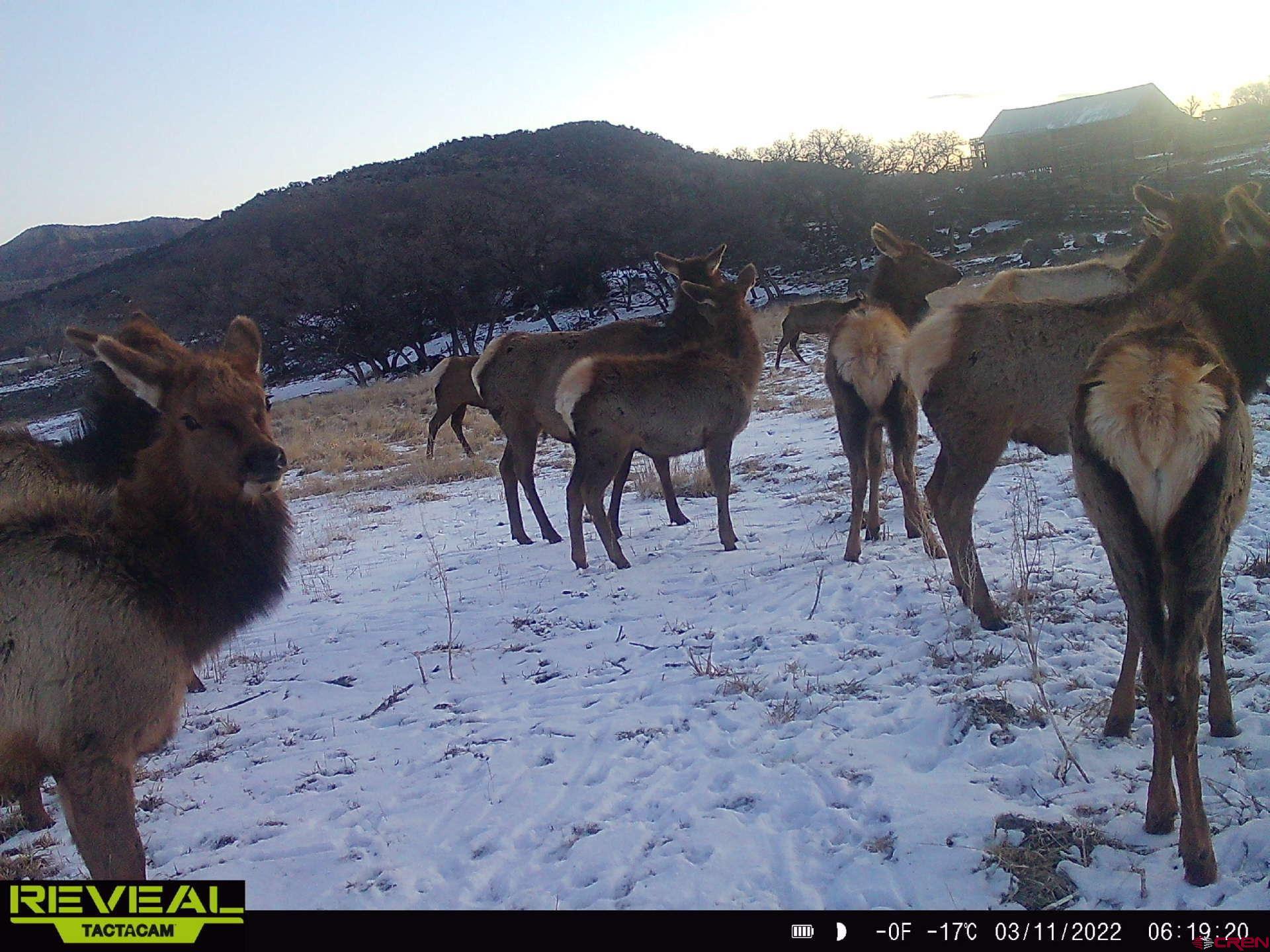 51804 KE Road Mesa, CO 81643 - Photo 27 of 29 a view of a backyard