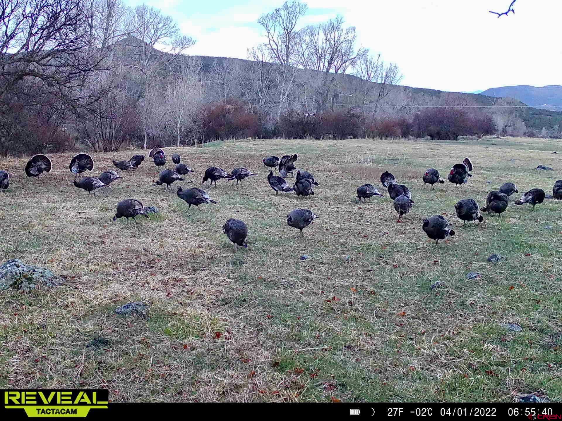 51804 KE Road Mesa, CO 81643 - Photo 28 of 29 a view of a backyard
