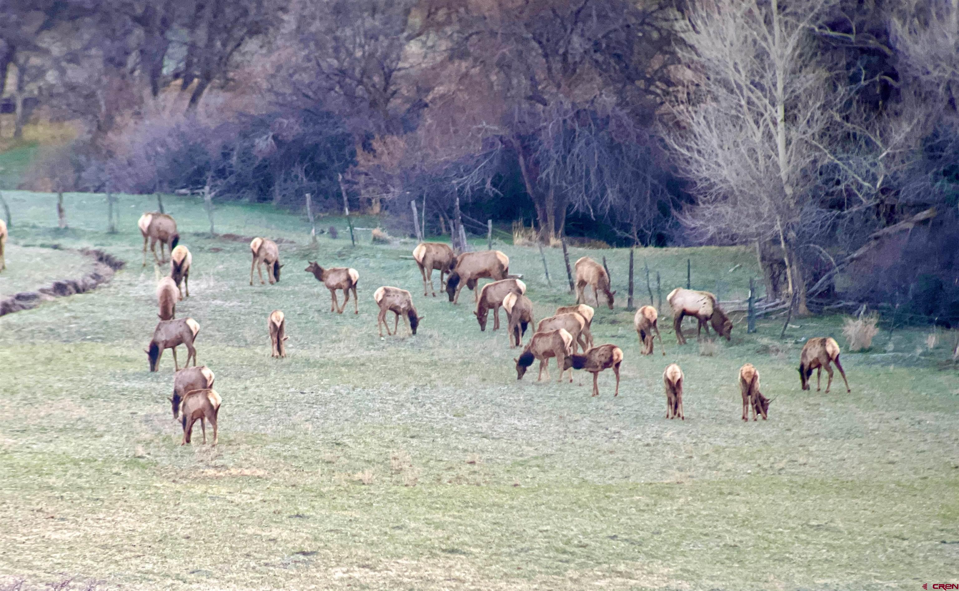 51804 KE Road Mesa, CO 81643 - Photo 29 of 29 a view of a backyard