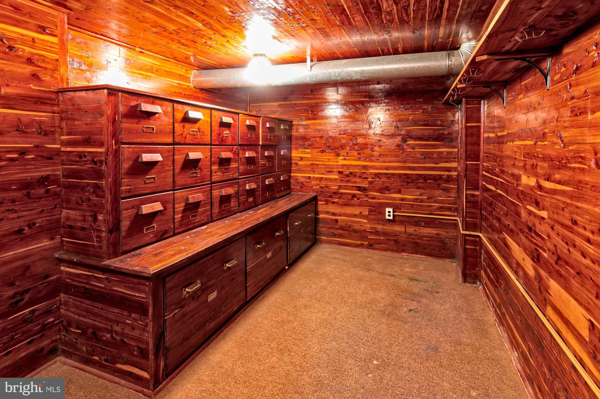 132 St Georges Road Ardmore, PA 19003 - Photo 67 of 87 Basement Cedar Closet with Built in File Cabinets