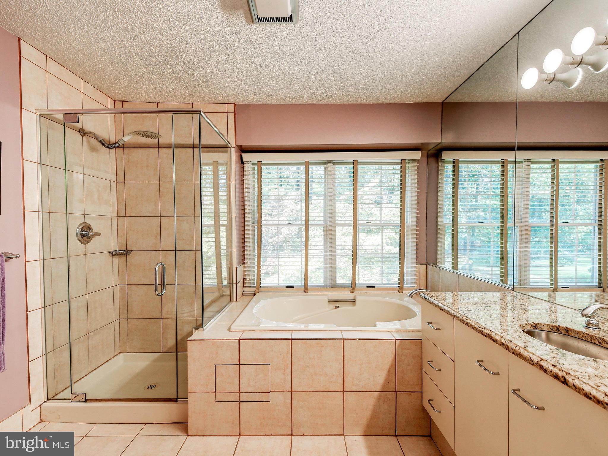 14 Raisin Tree Circle Baltimore, MD 21208 - Photo 22 of 32 UPDATED MASTER BATH