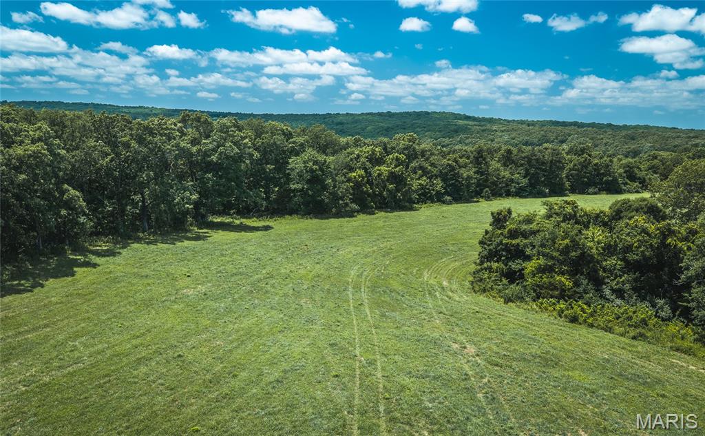 171 Czar Tower Road Steelville, MO 65565 - Photo 53 of 54