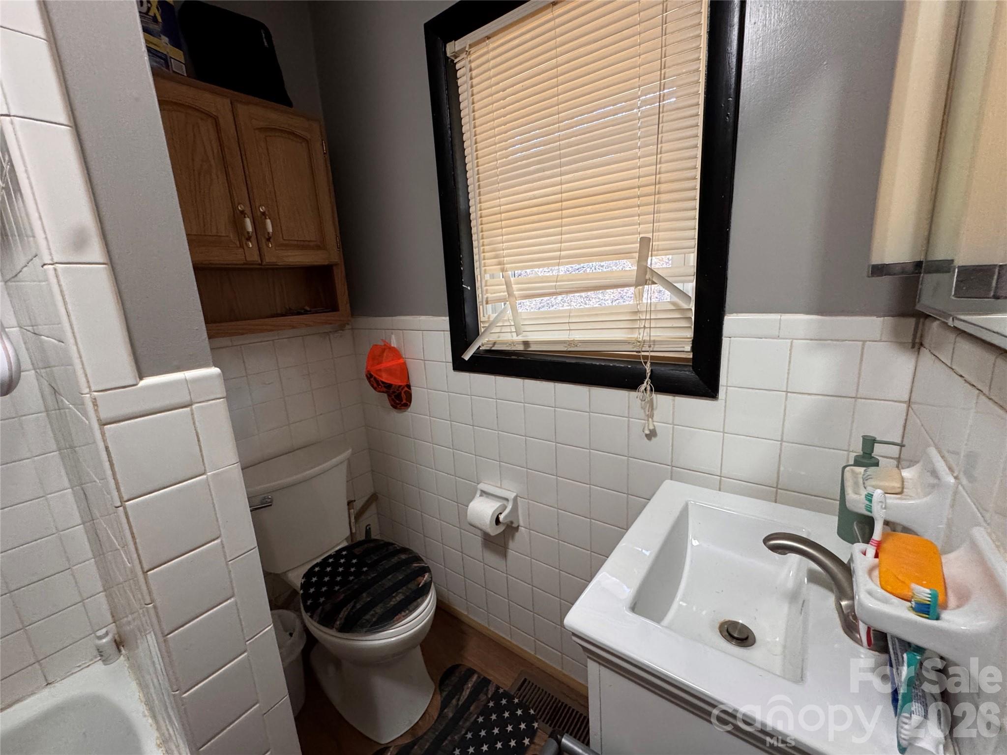 551 West Fort Hill Road Robbinsville, NC 28771 - Photo 13 of 17