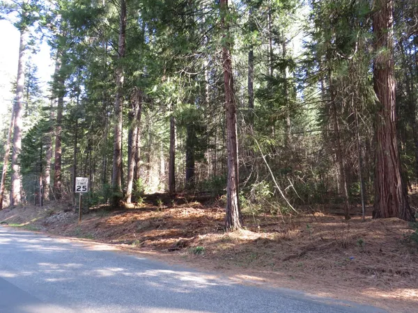 $62,500 | 0 Alta Power House Road, Alta, CA 95701