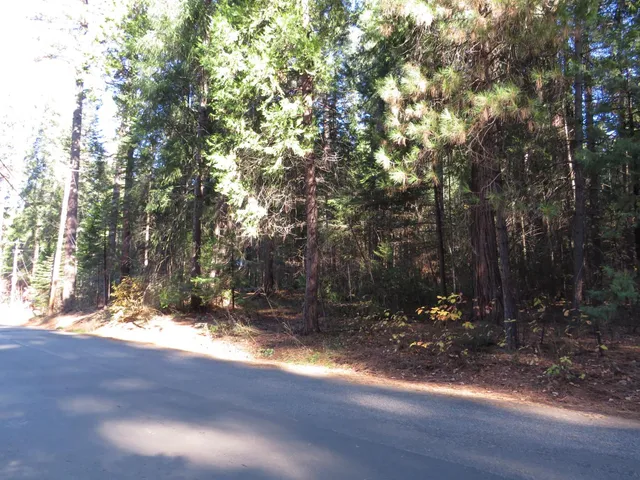 a view of a yard with a tree