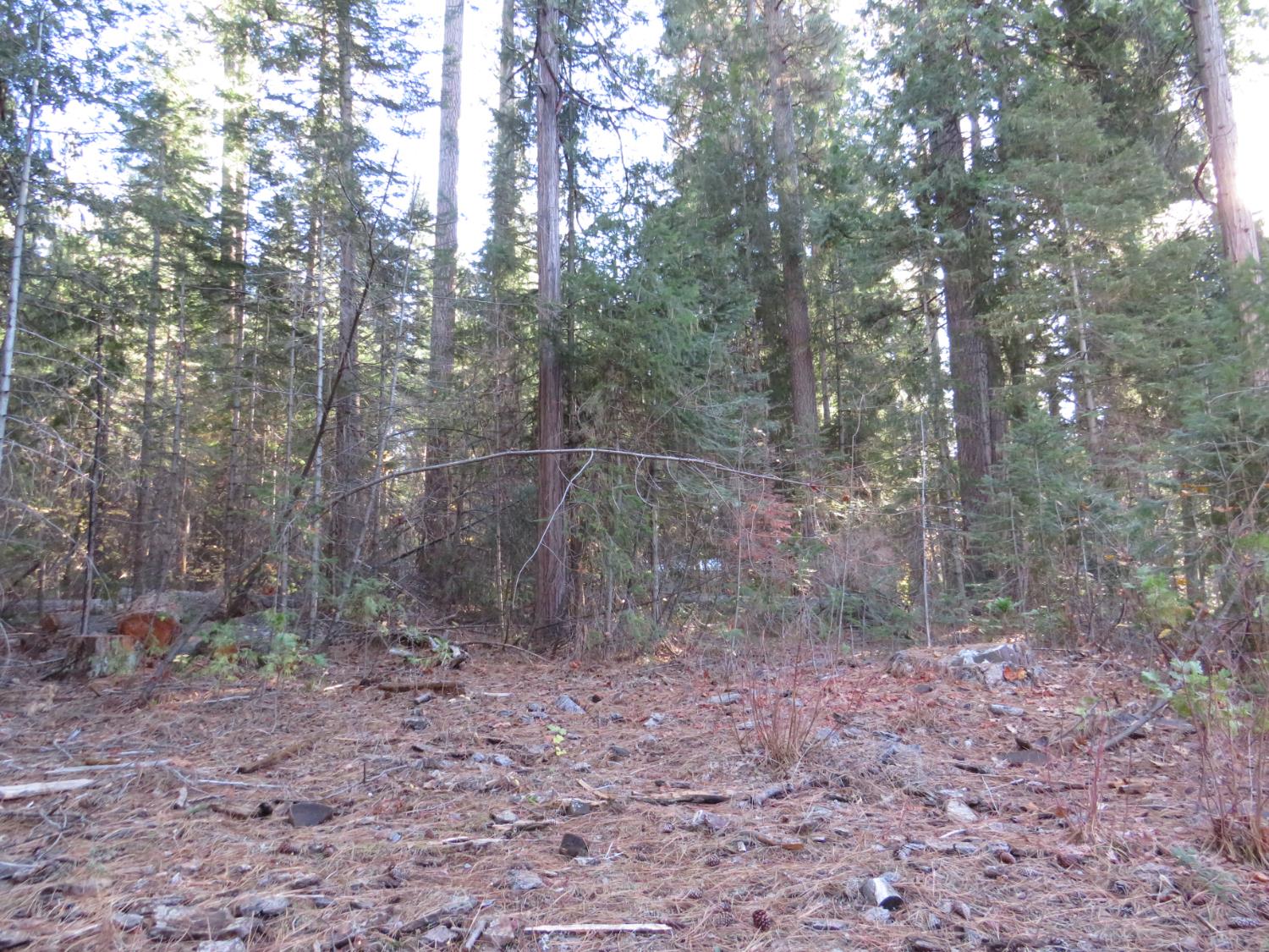 0 Alta Power House Road Alta, CA 95701 - Photo 11 of 20