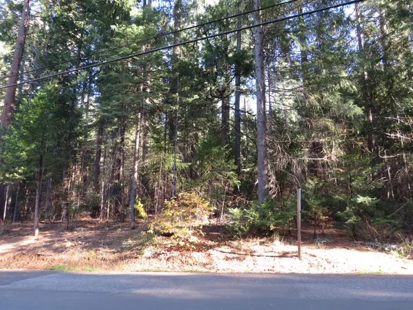 $62,500 | 0 Alta Power House Road, Alta, CA 95701