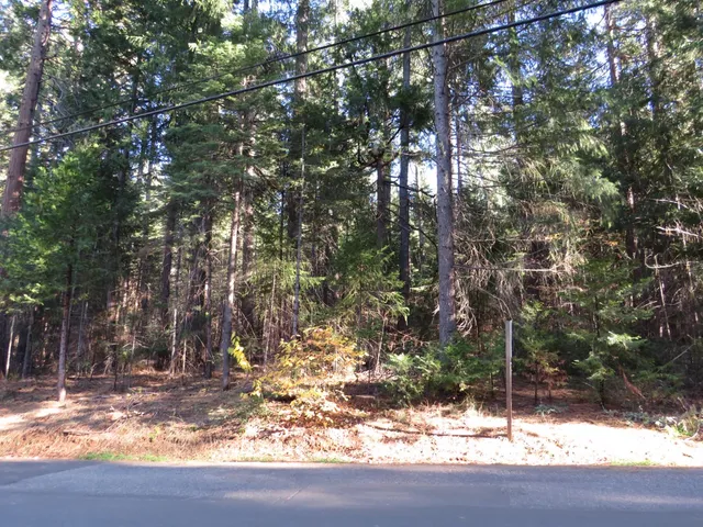 $65,000 | 0 Alta Power House Road, Alta, CA 95701