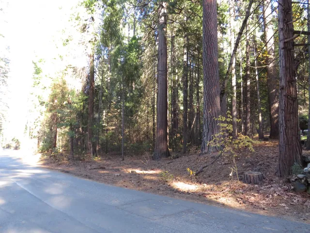 $65,000 | 0 Alta Power House Road, Alta, CA 95701