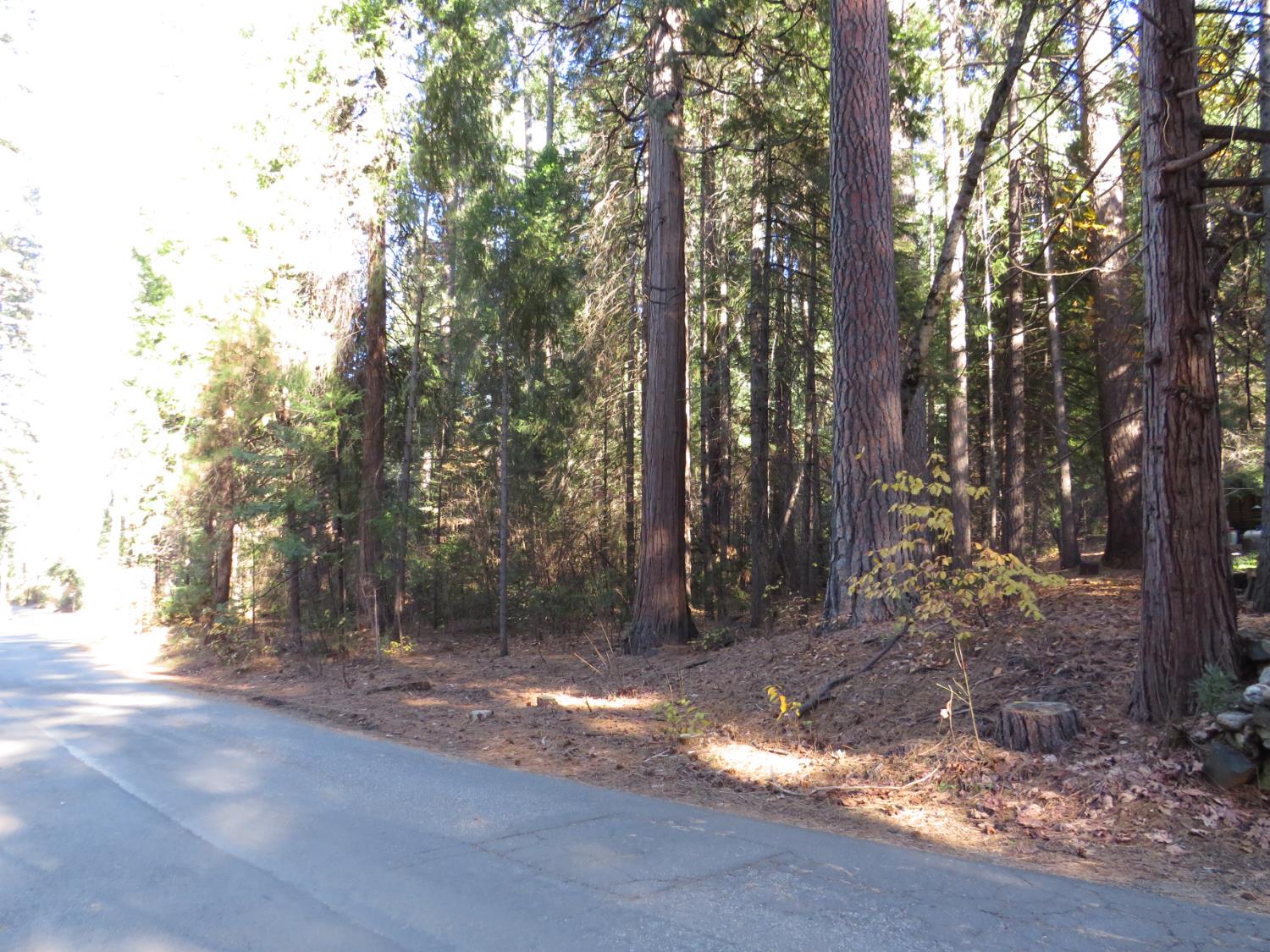 0 Alta Power House Road Alta, CA 95701 - Photo 14 of 20