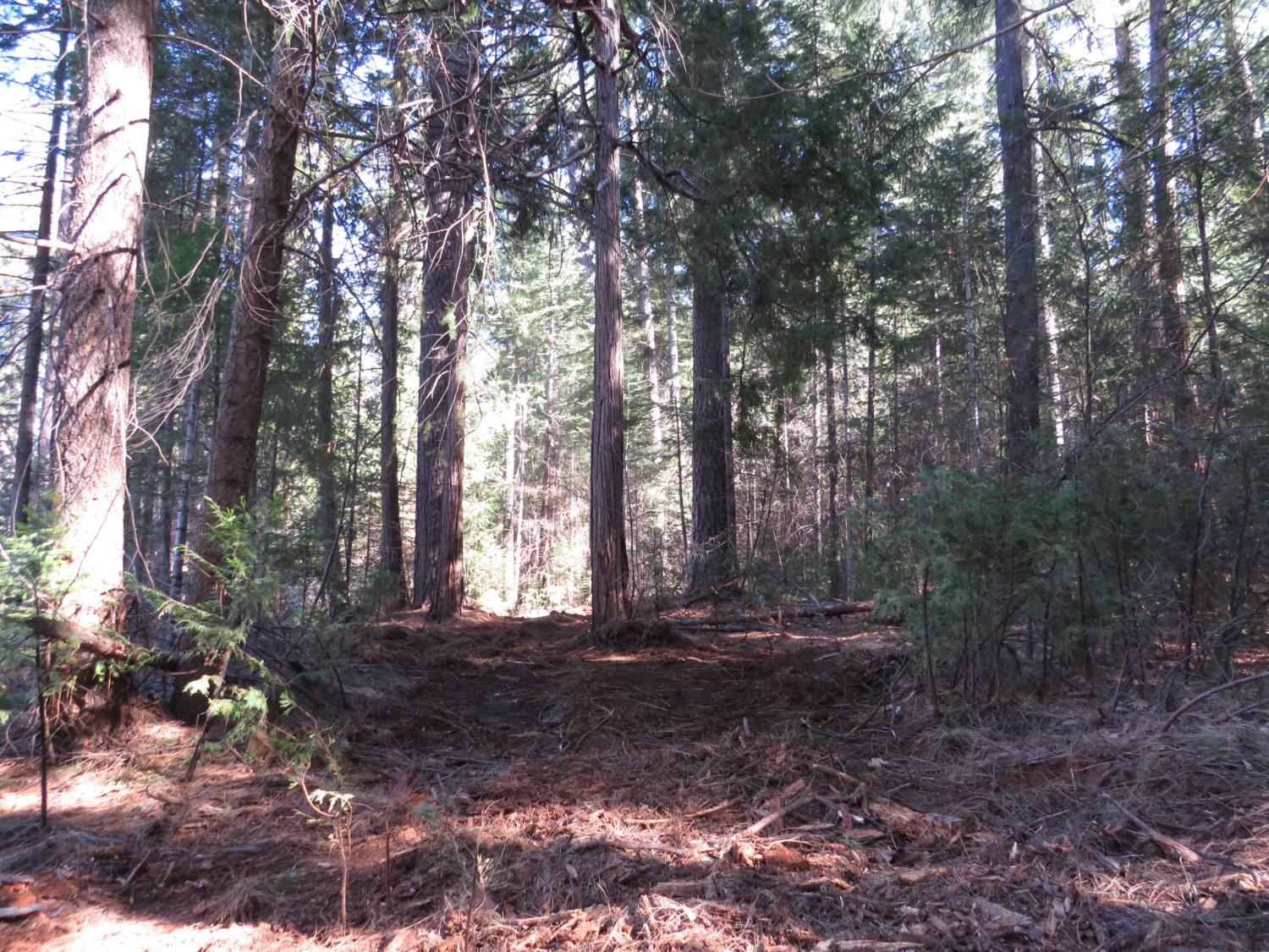 0 Alta Power House Road Alta, CA 95701 - Photo 2 of 20