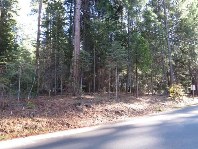 a view of a yard with trees in the background