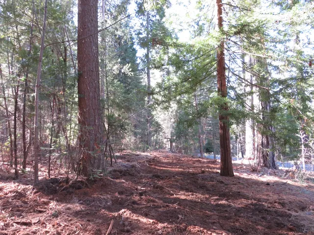 a view of a street with houses on the side