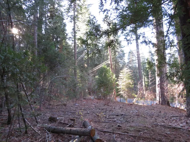 $65,000 | 0 Alta Power House Road, Alta, CA 95701