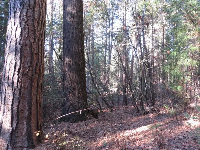 a backyard of a house