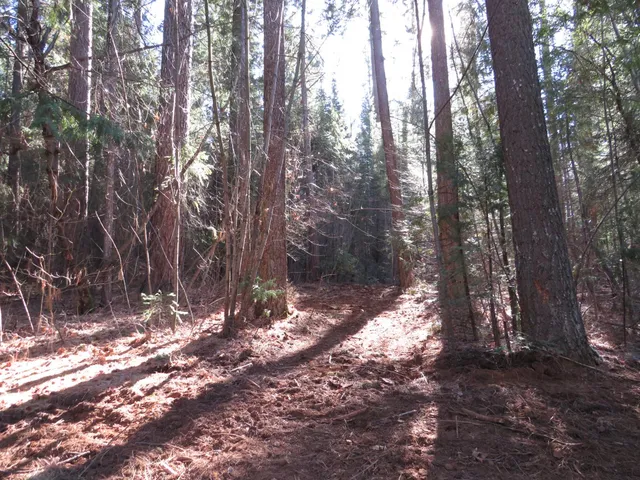 $65,000 | 0 Alta Power House Road, Alta, CA 95701