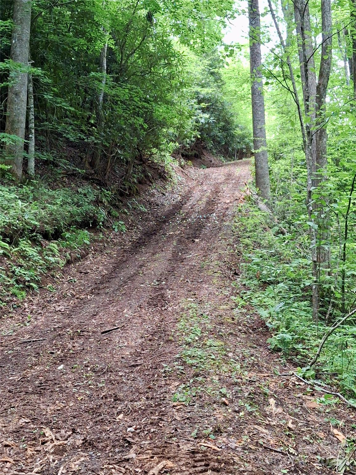 0 Sometimes Creek Road Sylva, NC 28779 - Photo 11 of 17