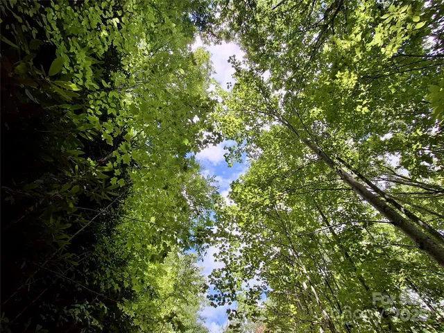 $37,000 | 0 Sometimes Creek Road, Sylva, NC 28779