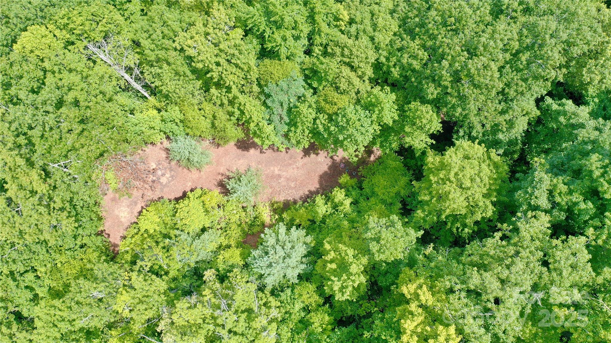 0 Sometimes Creek Road Sylva, NC 28779 - Photo 15 of 17