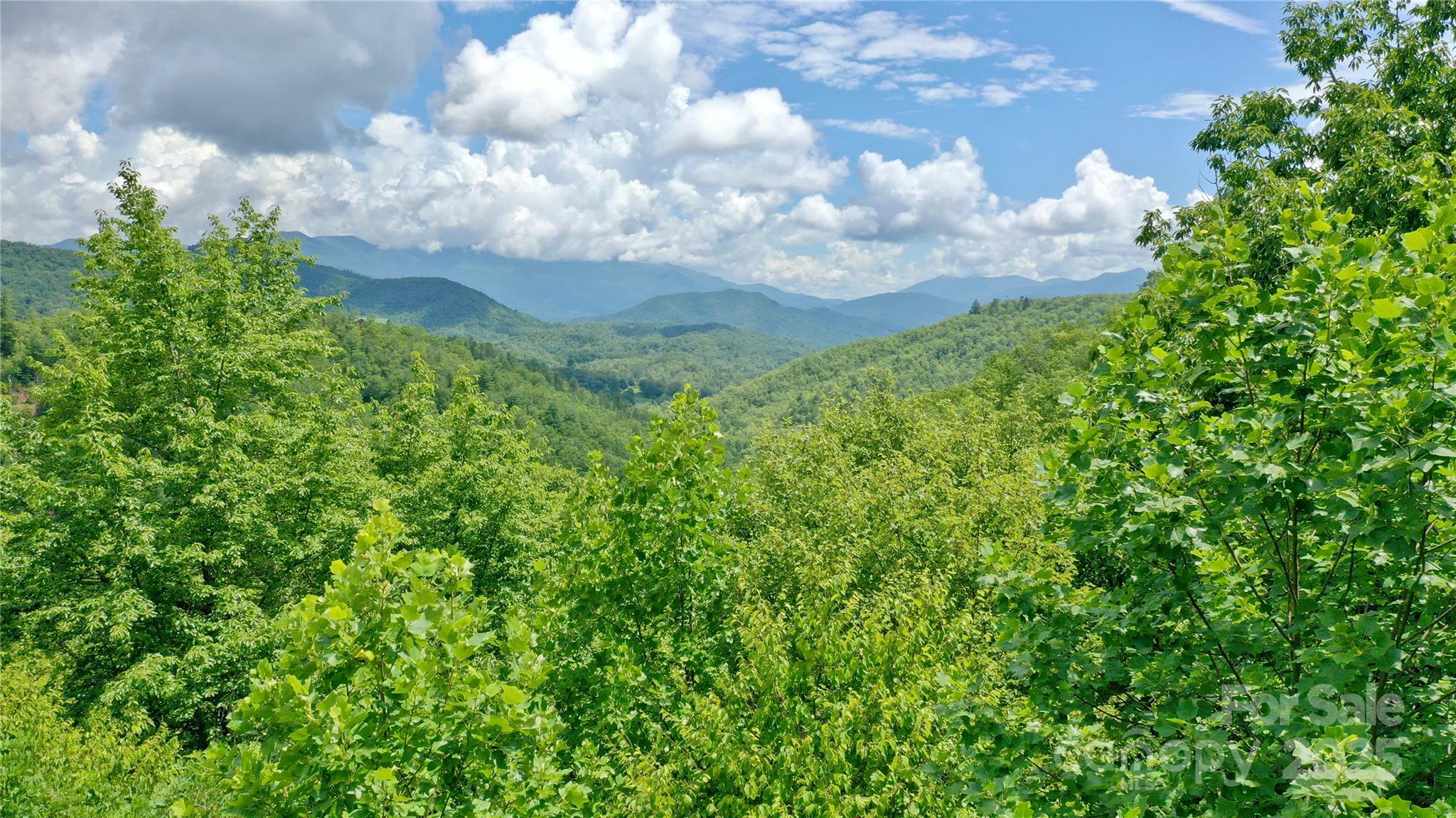0 Sometimes Creek Road Sylva, NC 28779 - Photo 16 of 17