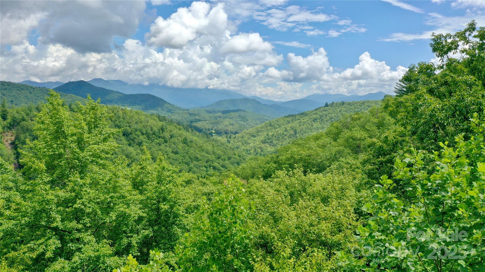 0 Sometimes Creek Road Sylva, NC 28779 - Photo 17 of 17
