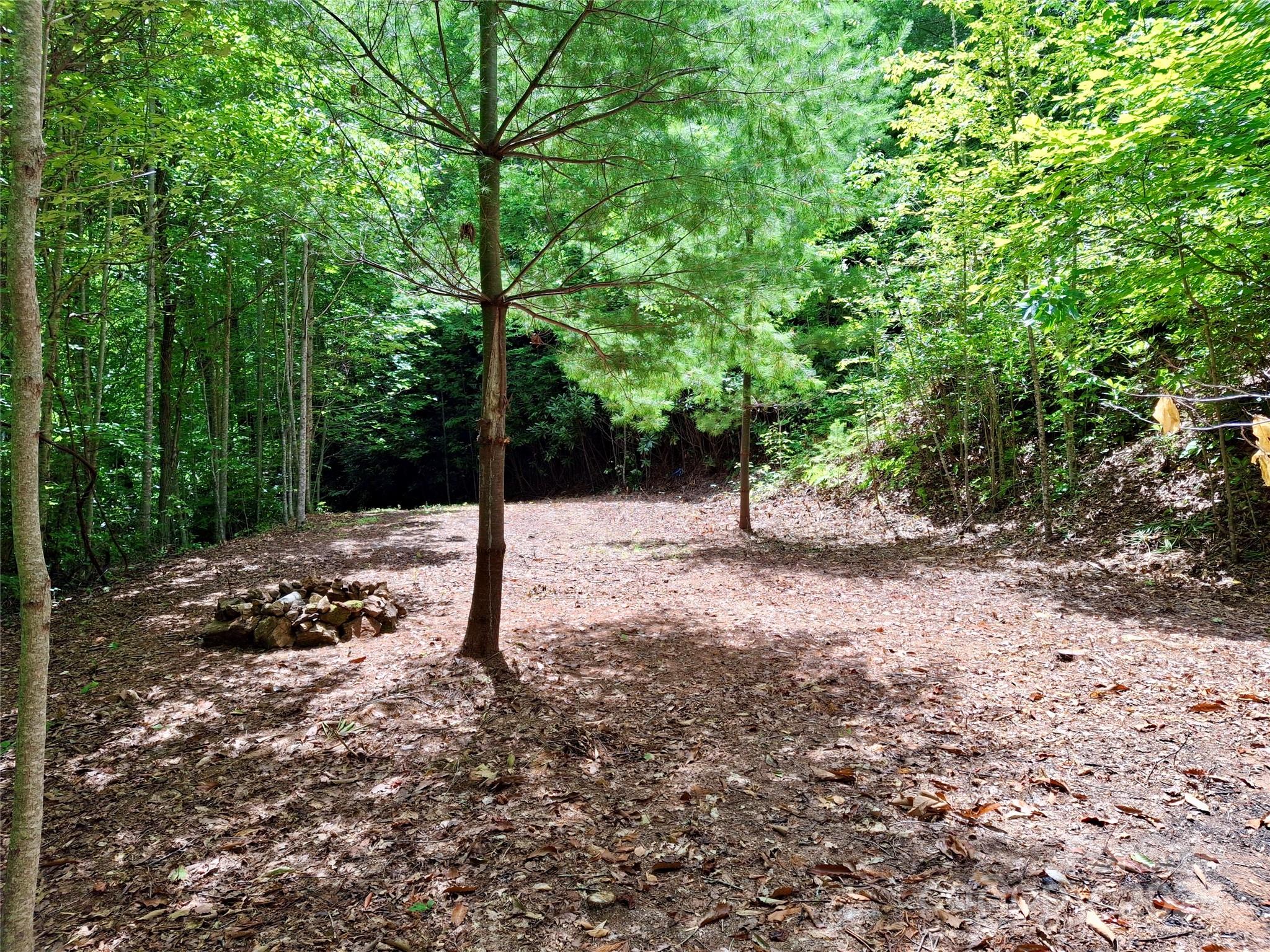 0 Sometimes Creek Road Sylva, NC 28779 - Photo 4 of 17