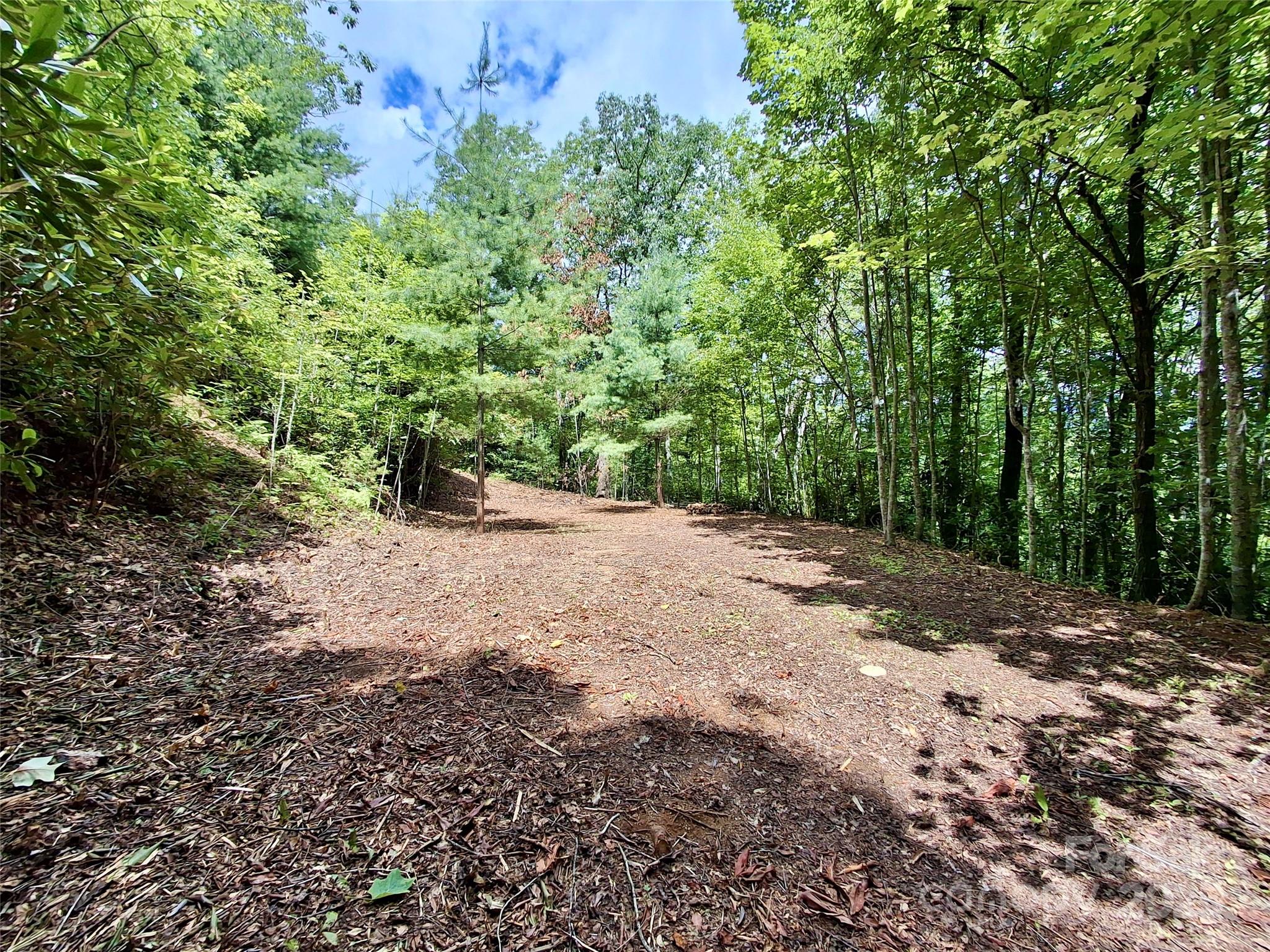 0 Sometimes Creek Road Sylva, NC 28779 - Photo 5 of 17