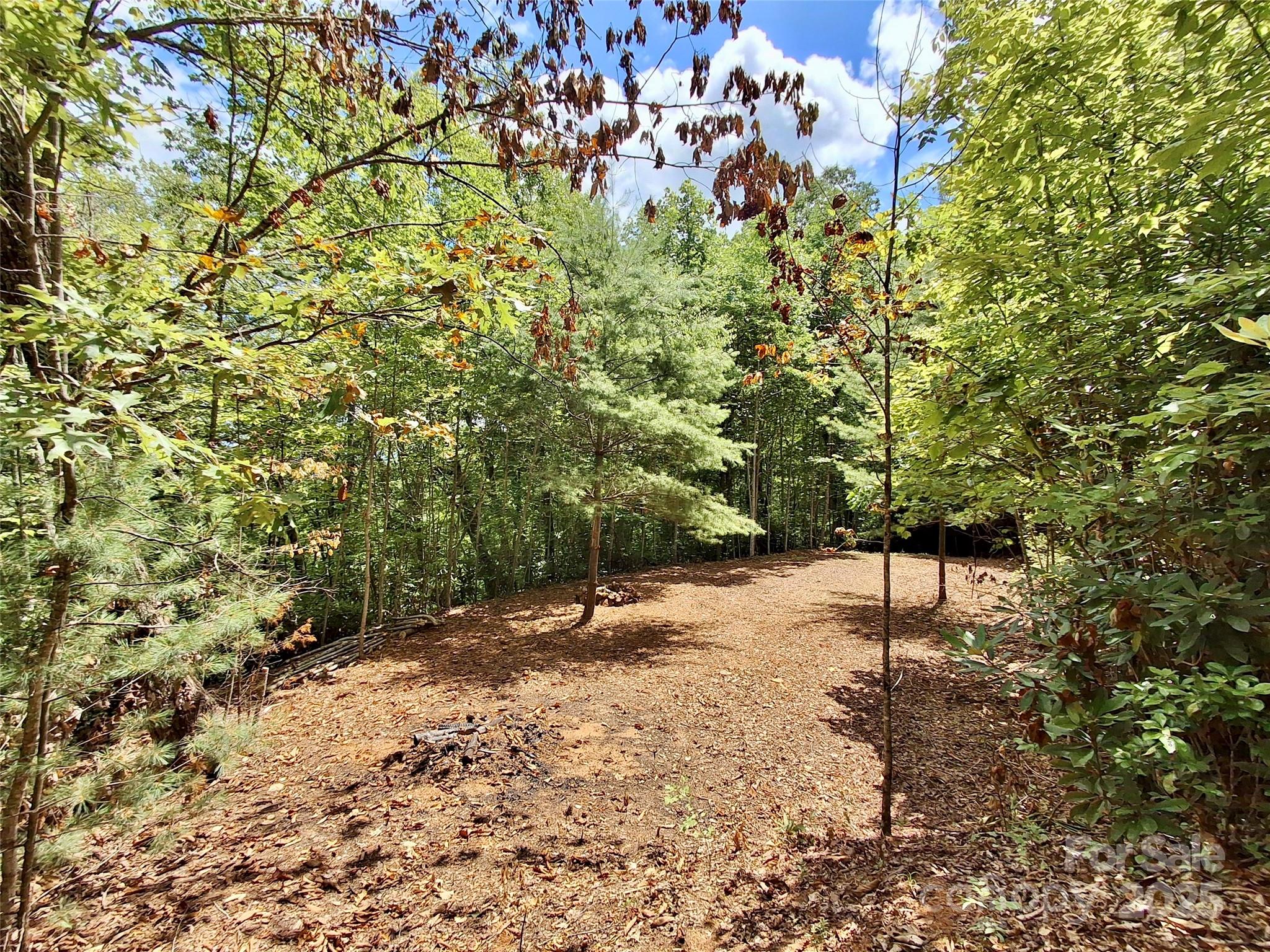 0 Sometimes Creek Road Sylva, NC 28779 - Photo 6 of 17