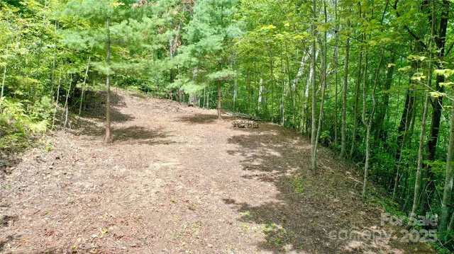 $37,000 | 0 Sometimes Creek Road, Sylva, NC 28779