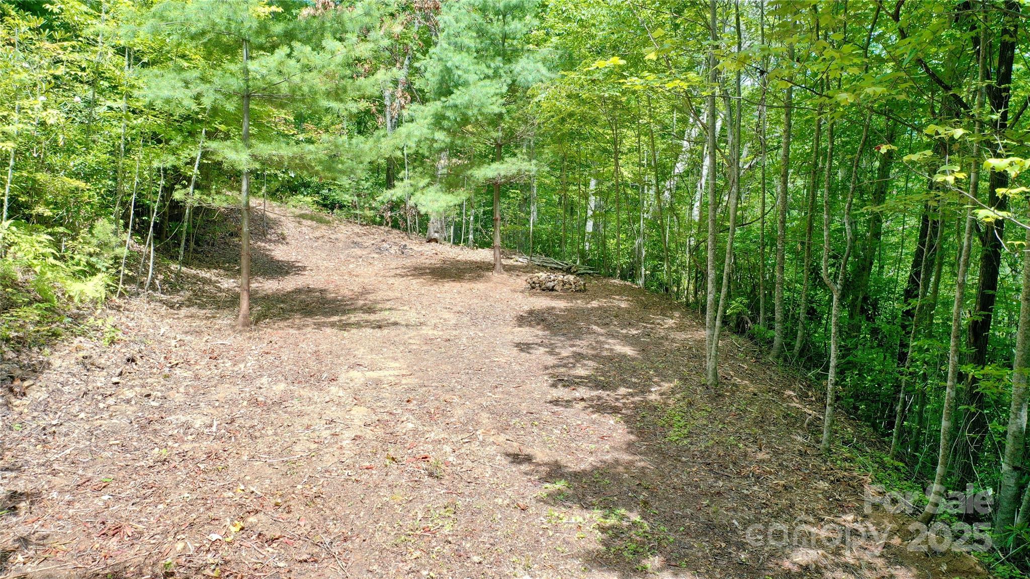 0 Sometimes Creek Road Sylva, NC 28779 - Photo 7 of 17