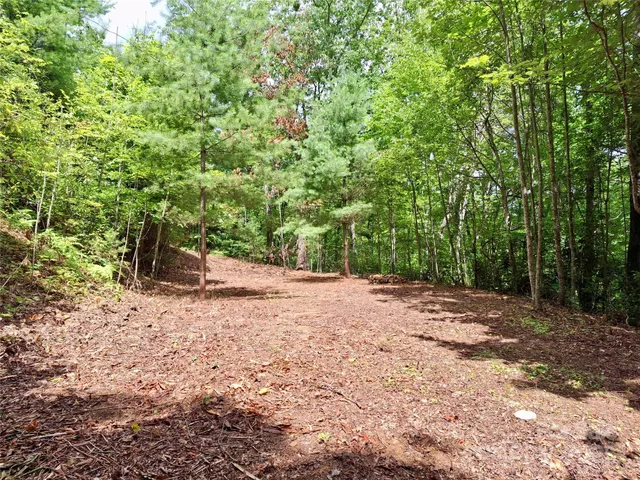 $37,000 | 0 Sometimes Creek Road, Sylva, NC 28779