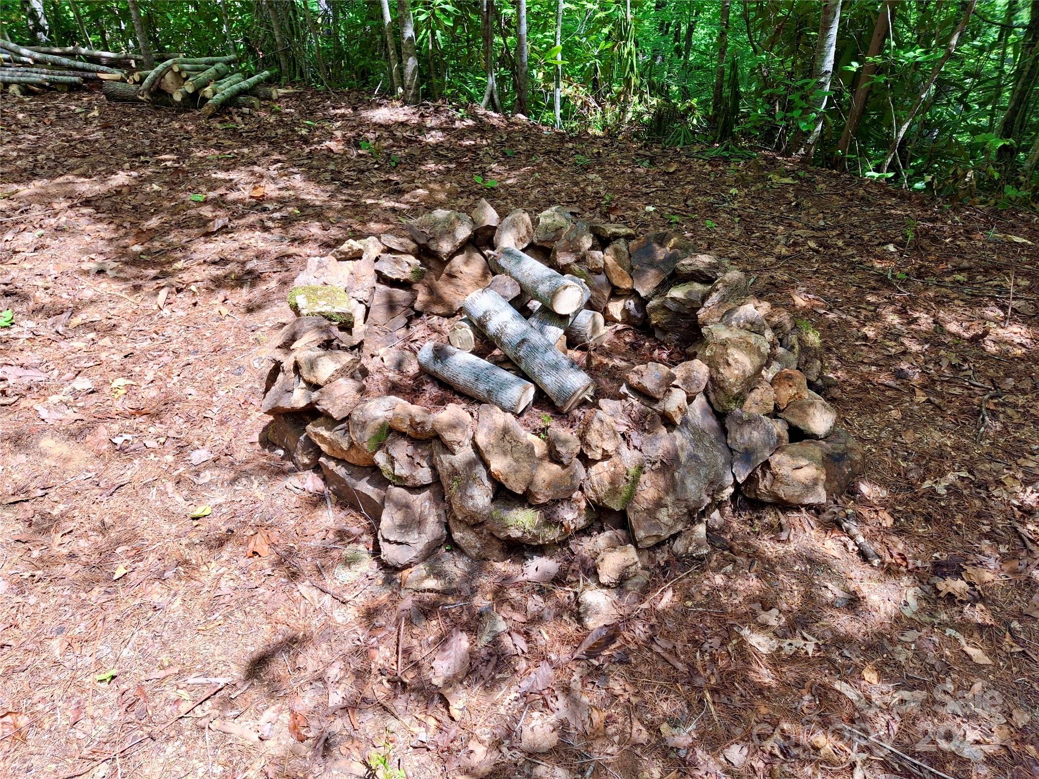 0 Sometimes Creek Road Sylva, NC 28779 - Photo 9 of 17