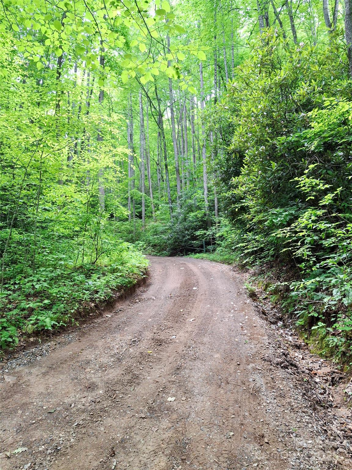 0 Sometimes Creek Road Sylva, NC 28779 - Photo 10 of 17