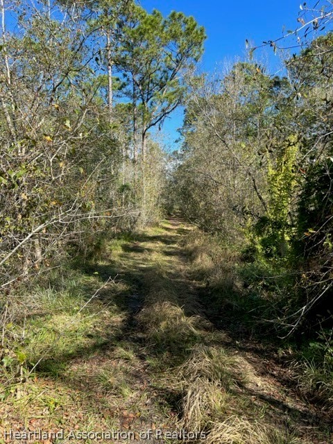 6214 Navel Road Sebring, FL 33875 - Photo 1 of 5 Gallery Image 1