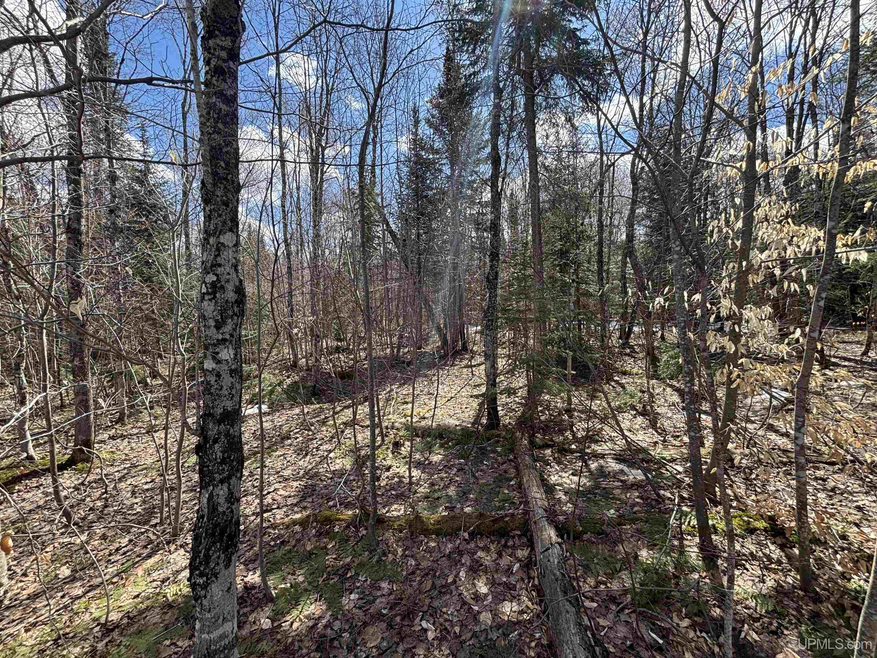 11445 Chesbrough Lake Road Newberry, MI 49868 - Photo 59 of 75