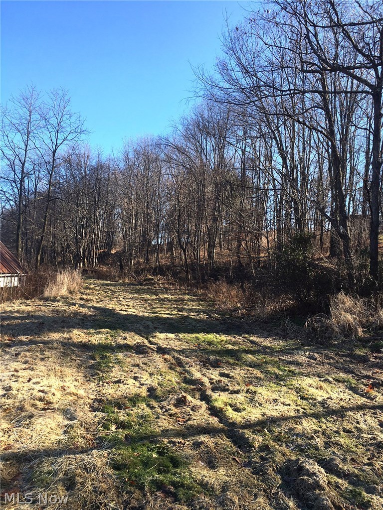 8154 Richey School Road Hanoverton, OH 44423 - Photo 7 of 11 Gallery Image 7