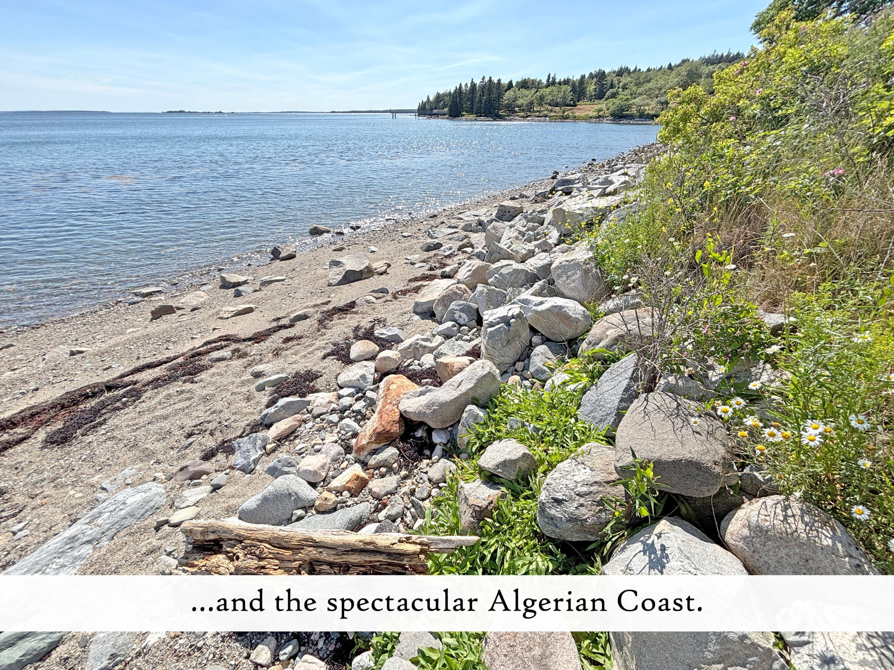 26 Cape Road Tremont, ME 04674 - Photo 115 of 115 zzzzzzzzz Algerian Coast off of Cape Roa