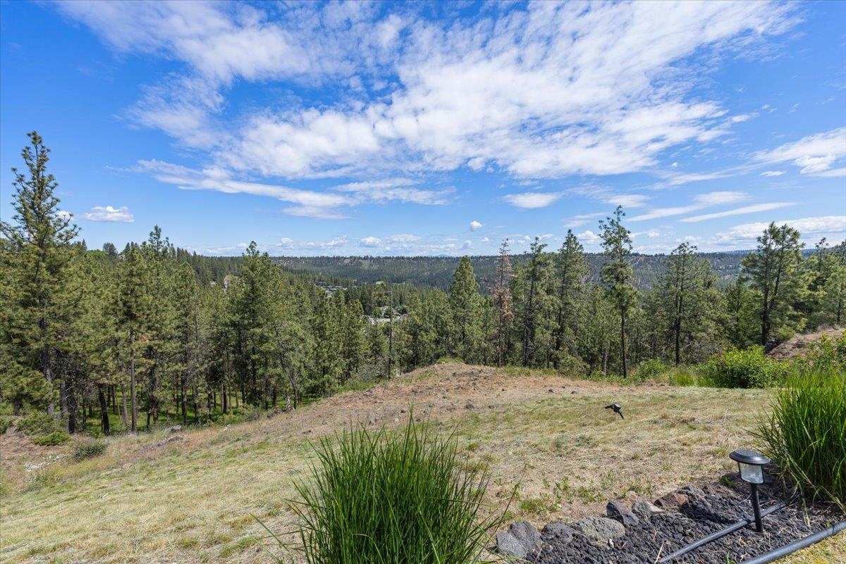 696 West Basalt Ridge Drive Spokane, WA 99224 - Photo 41 of 50