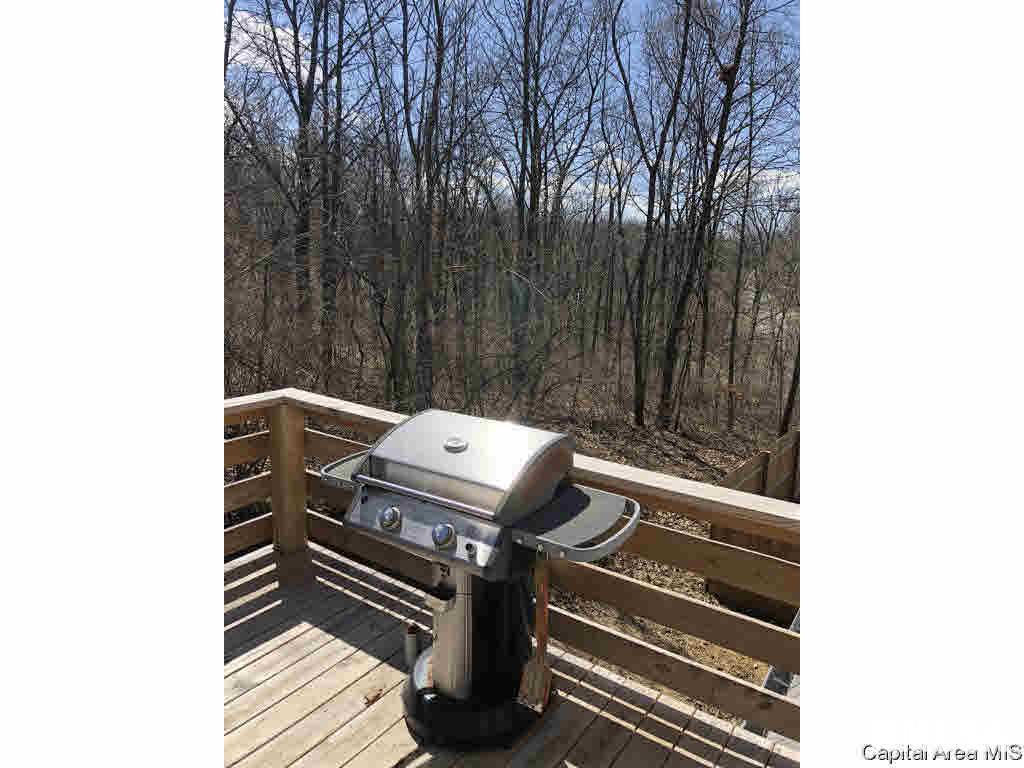 7270 Deer Run Road Pleasant Plains, IL 62677 - Photo 19 of 20 Gallery Image 19