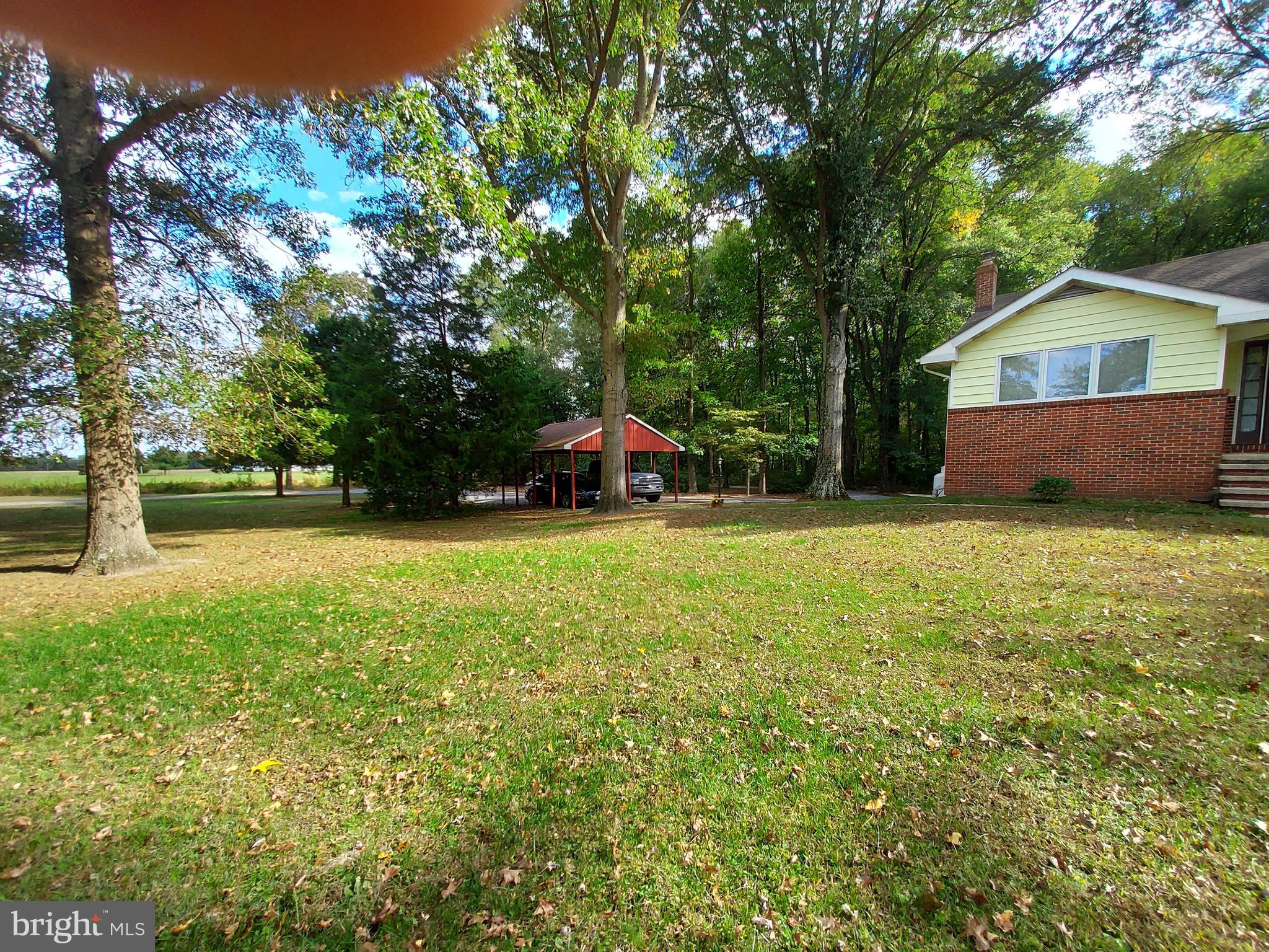 25841 Shults Road Henderson, MD 21640 - Photo 3 of 22 Out in the country!